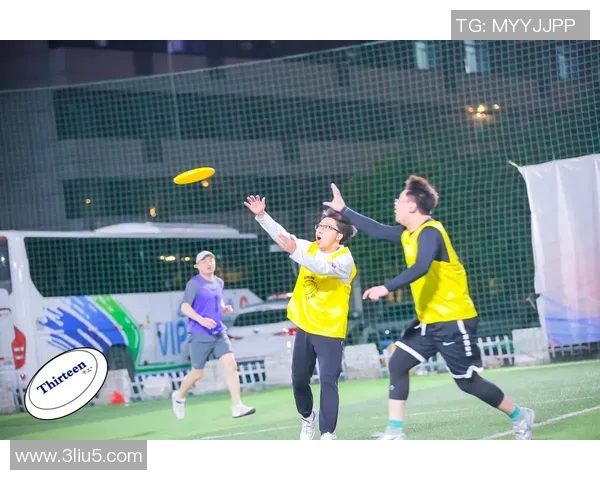 飞盘新手必看：从零基础到高手的全面入门攻略与技巧分享