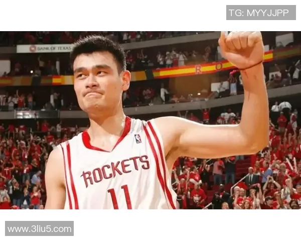 2002年火箭队与小牛队对决姚明的精彩表现与篮球传奇的诞生